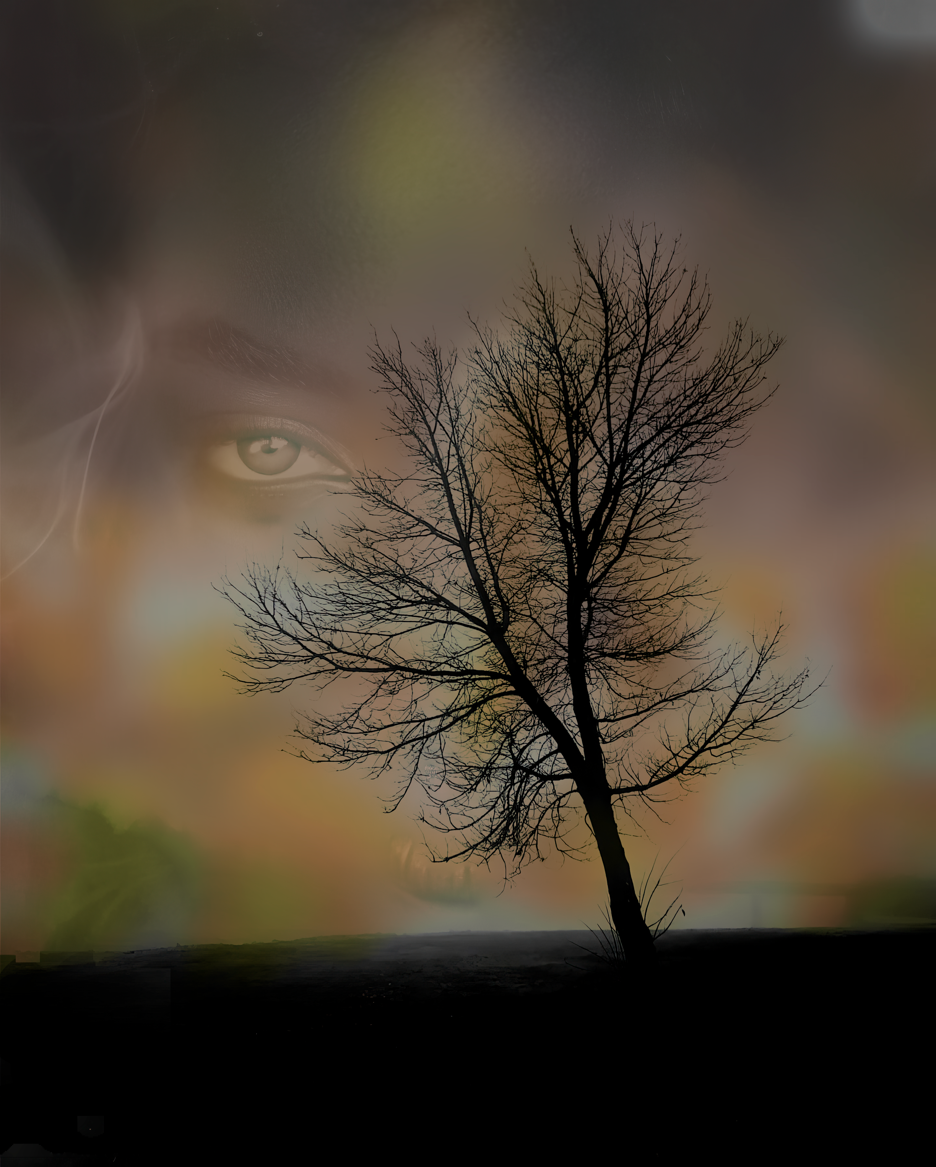 Images